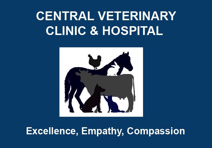 Central Veterinary Clinic & Hospital